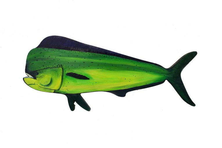dolphinfish